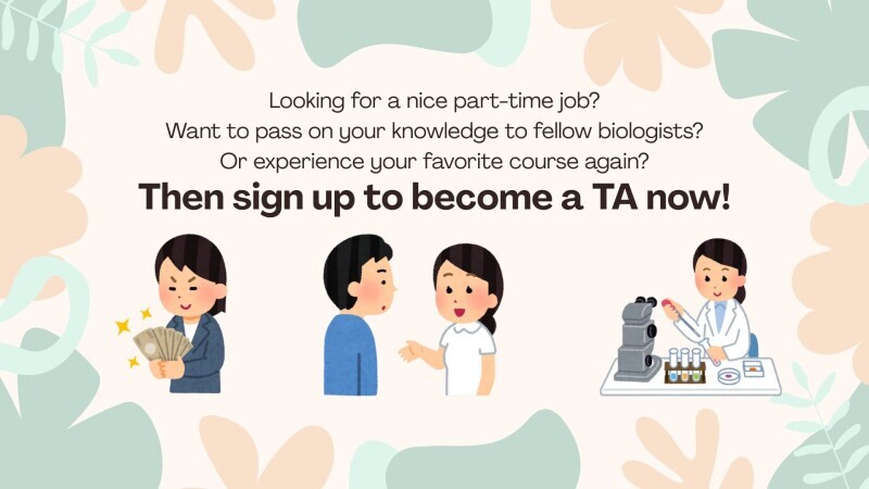TA job vacancy