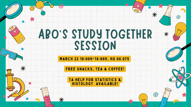 Study Together Session