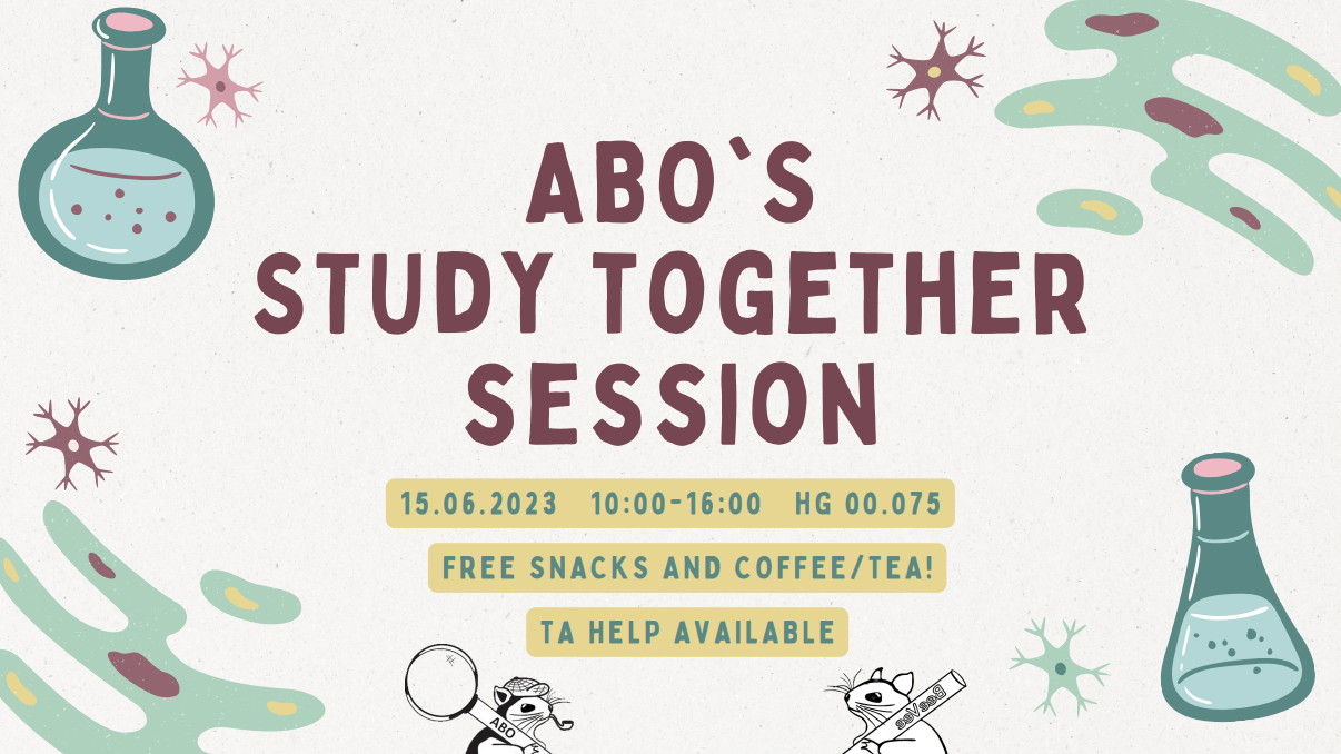 Study Together Session