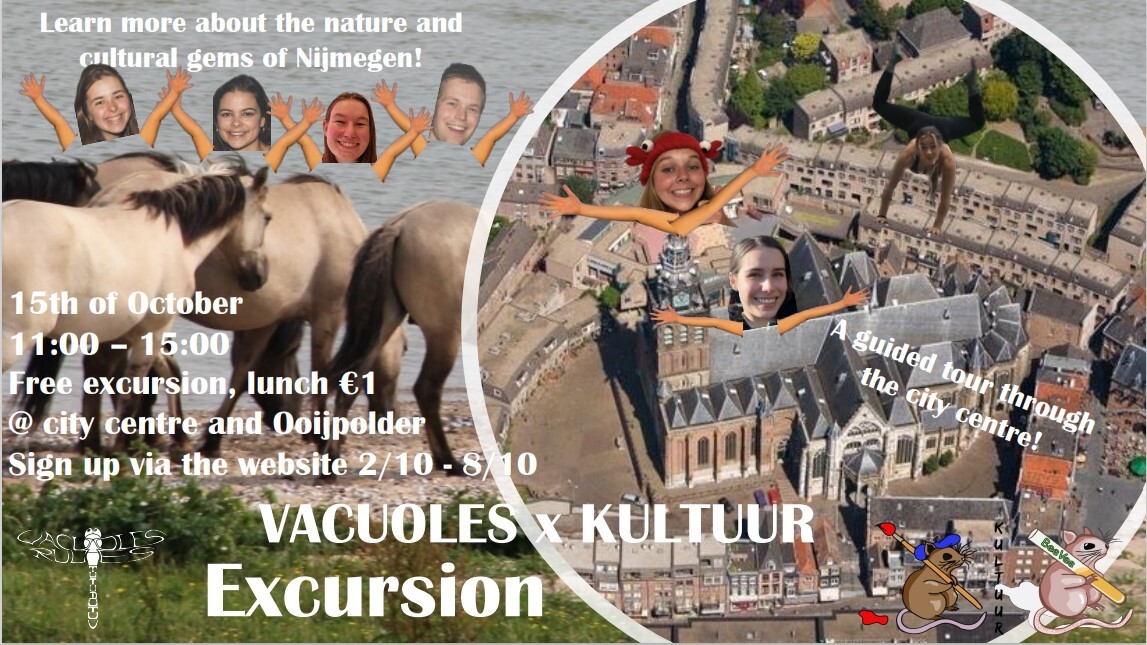 Excursion