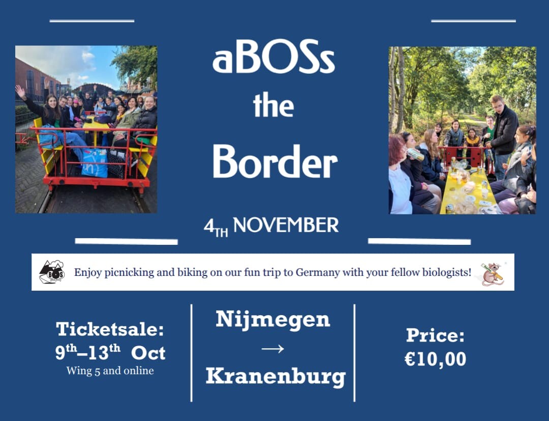 aBOSs the border